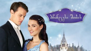 A Princess for Christmas