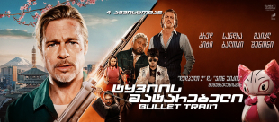 Bullet Train