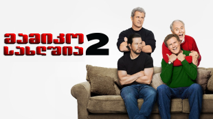 Daddy's Home 2