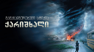 Into the Storm