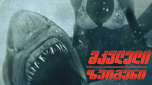 Shark Night 3D