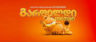 The Garfield Movie