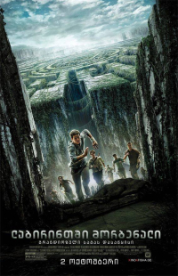 The Maze Runner